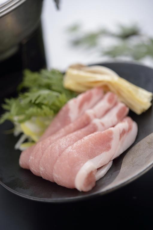 诹访市 Kosensou酒店 外观 照片